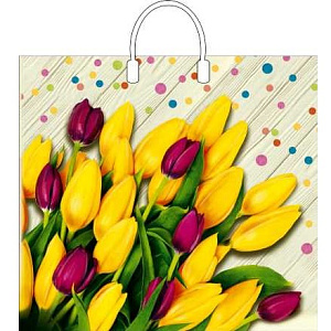 пакет 38*35 ля фам пластик. с пластик. ручками /инт фото