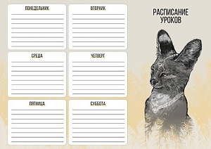 расписание уроков а4 сервал 150003 /alpha-trend изображение расписание уроков а4 сервал 150003 /alpha-trend