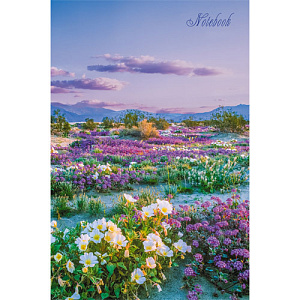 книга для записей /эксмо а5 80л природа 7бц, глянц.ламин., кз5803975