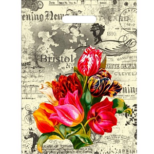 пакет 30*40 бристоль, прорубной, /инт изображение пакет 30*40 бристоль, прорубной, /инт фото