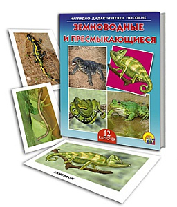 дидактич.пособие первые знания, 35 окошек, 978-5-00230-080-8 /malamalama