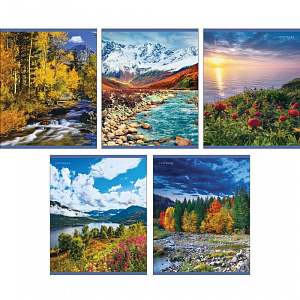 тетрадь 48л клетка государственная символика, блок 2, обл. хромэрзац, 489039 /эксмо